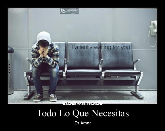 Todo Lo Que Necesitas -