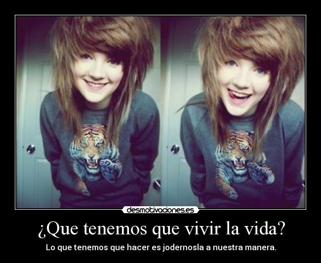 carteles vida que tenemos que vivir vida desmotivaciones