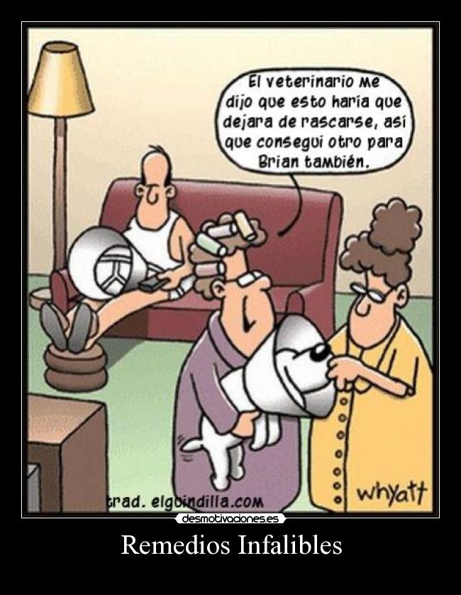 Image result for humor bueno