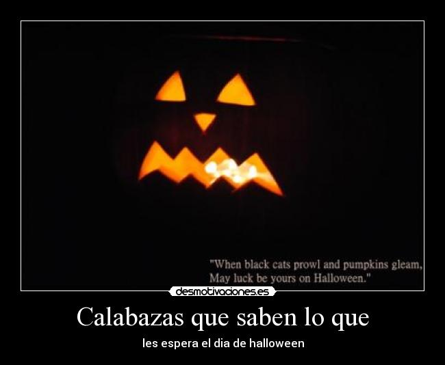 Calabazas que saben lo que - les espera el dia de halloween