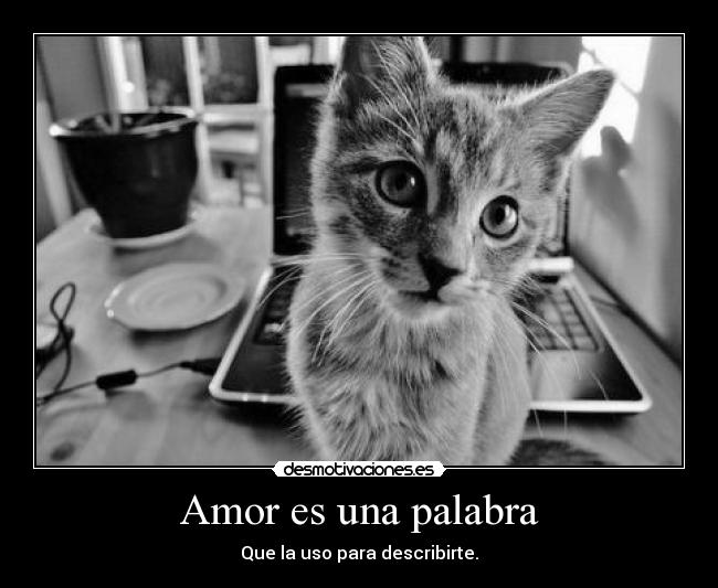 Amor es una palabra - 