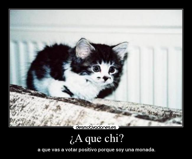 ¿A que chi? -