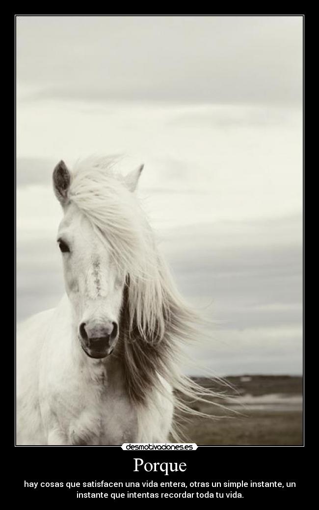 Porque - hay cosas que satisfacen una vida entera, otras un simple instante, un
instante que intentas recordar toda tu vida.