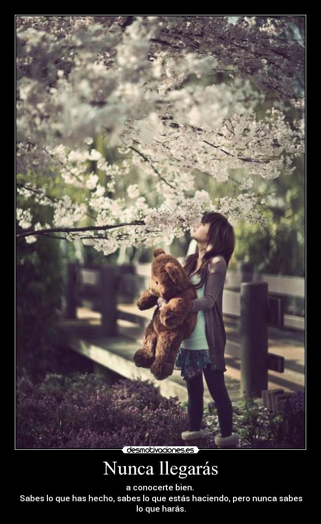 Nunca llegarás - 