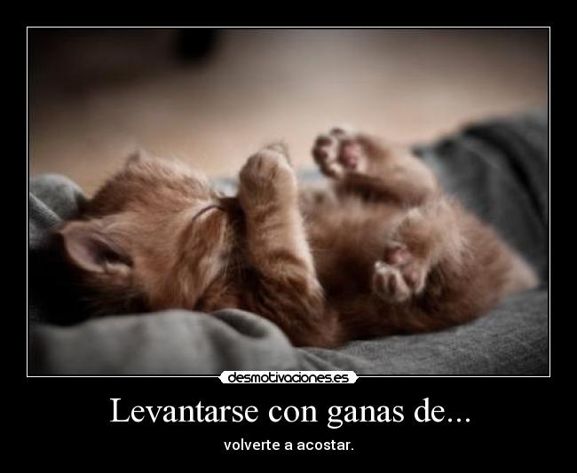 Levantarse con ganas de... - 
