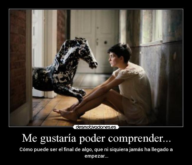 Me gustaría poder comprender... -