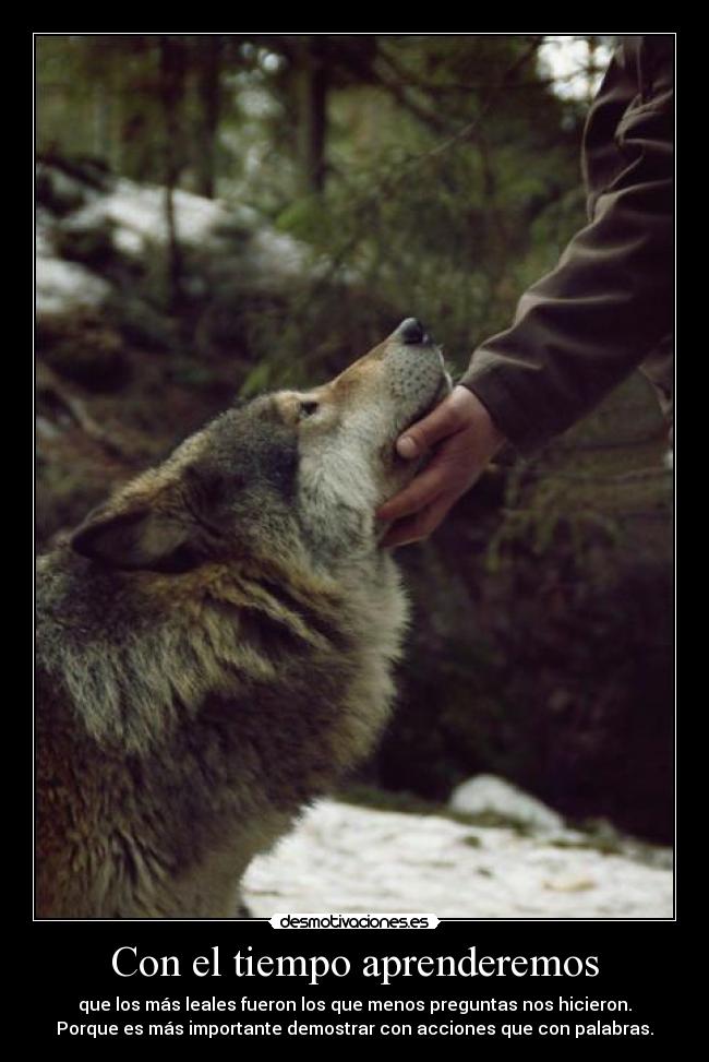 Con el tiempo aprenderemos - 