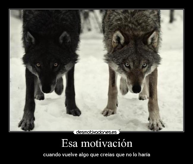 Esa motivación - cuando vuelve algo que creías que no lo haría