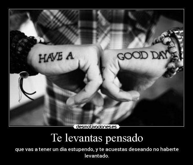 Te levantas pensado - 