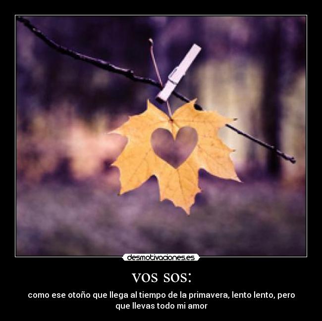 vos sos: - como ese otoño que llega al tiempo de la primavera, lento lento, pero
que llevas todo mi amor