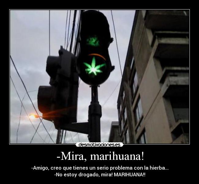 -Mira, marihuana! - 