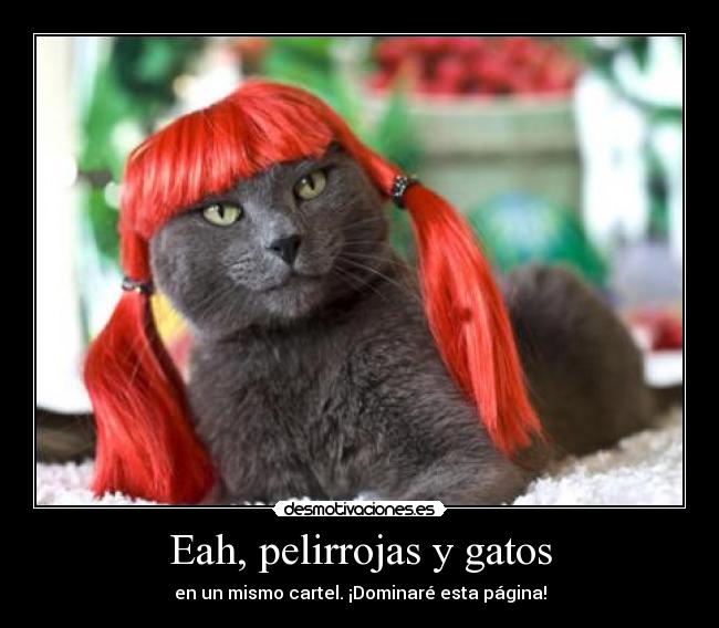 Eah, pelirrojas y gatos - 