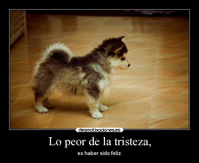 Lo peor de la tristeza, - es haber sido feliz.