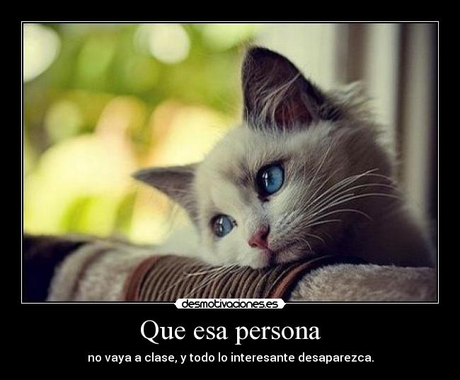 carteles mejodequeseaverdad desmotivaciones