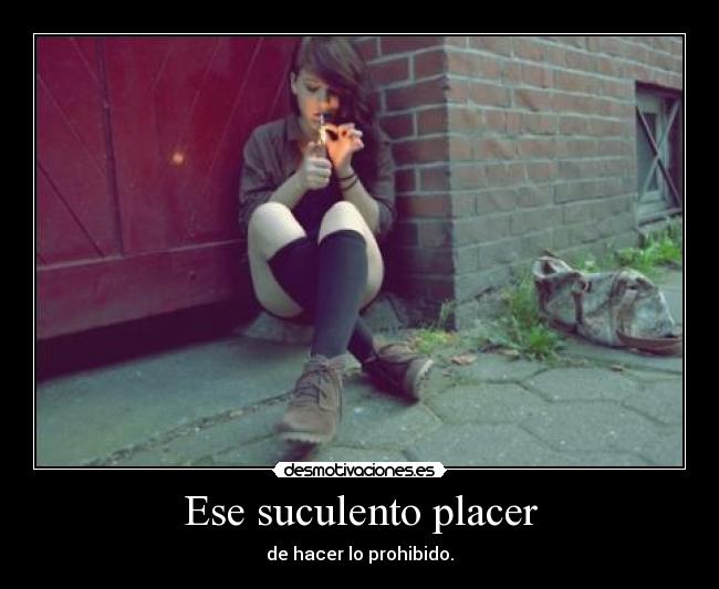 carteles suculento placer mmmm clanporqueyolovalgo desmotivaciones