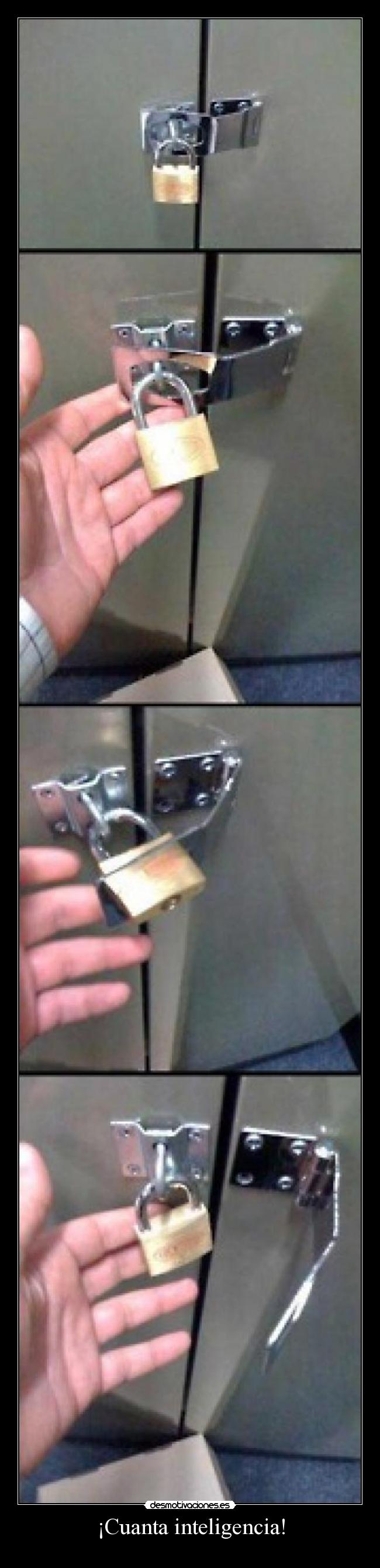 ¡Cuanta inteligencia! -