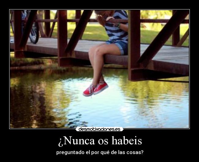 ¿Nunca os habeis - 
