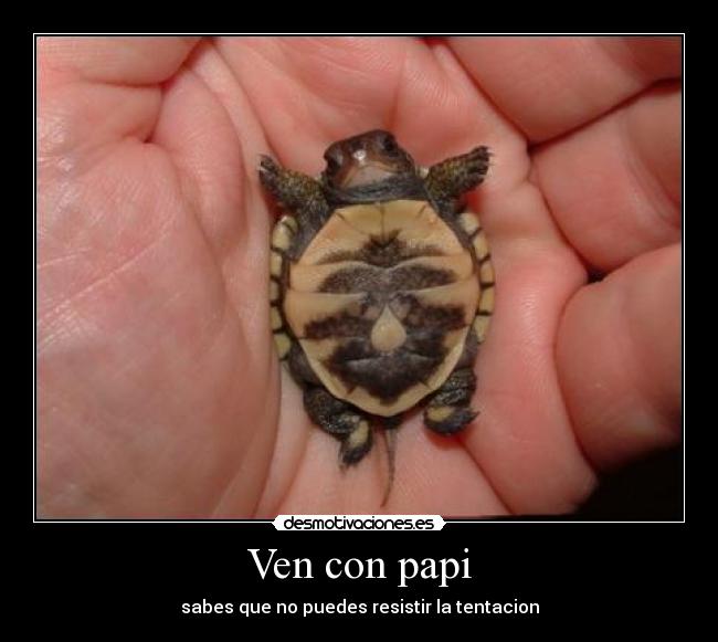 Ven con papi - sabes que no puedes resistir la tentacion