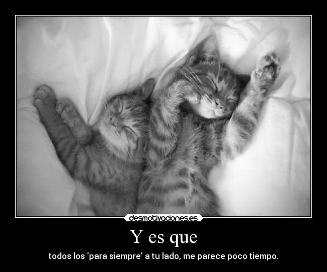 Y es que - todos los para siempre a tu lado, me parece poco tiempo.