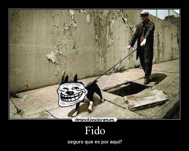 Fido - 