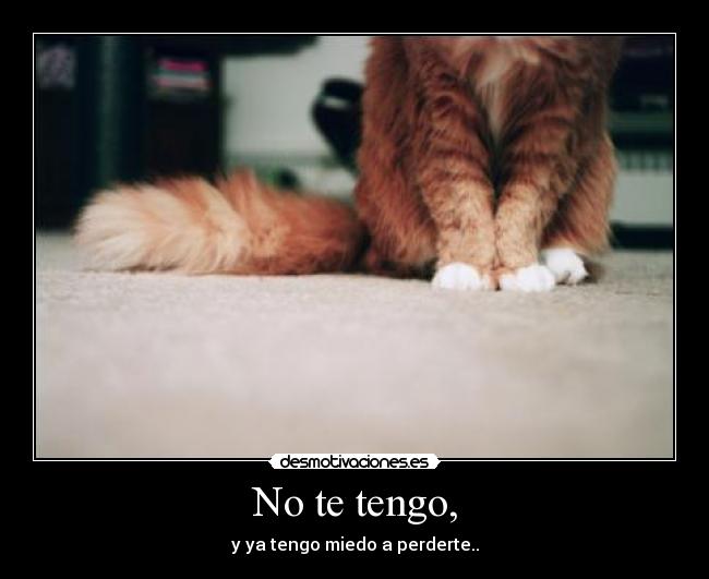 No te tengo, -