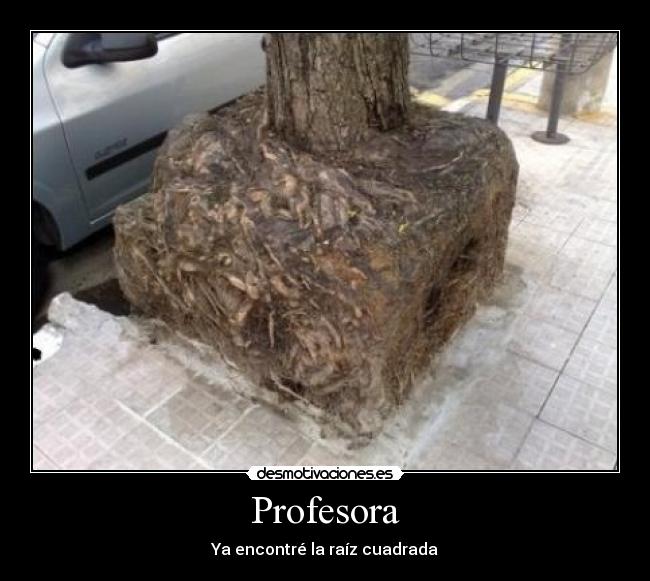 carteles raiz cuadrada matematicas arbol trollscience pajaroloco desmotivaciones