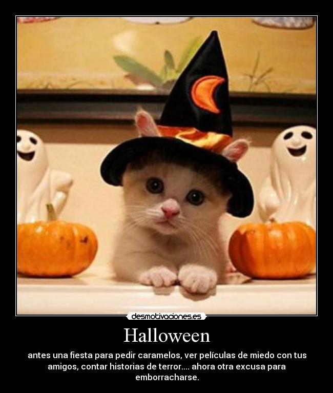 Halloween - antes una fiesta para pedir caramelos, ver películas de miedo con tus
amigos, contar historias de terror.... ahora otra excusa para
emborracharse.