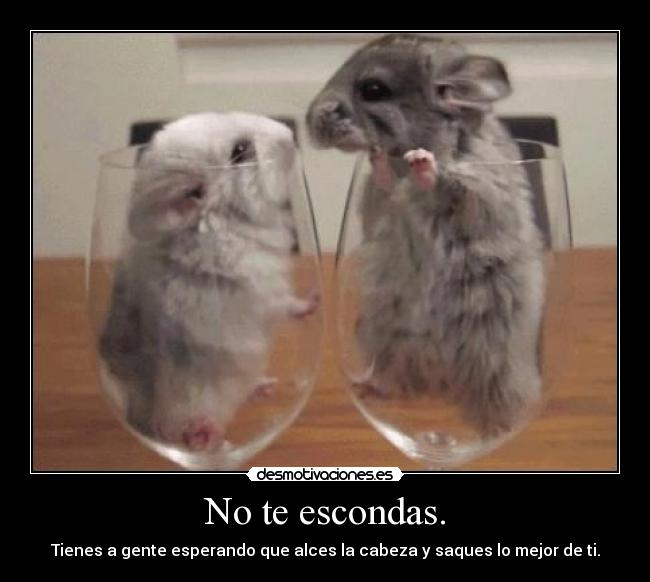 carteles vmarkina saaaaal demuestra que vales con dos que tengas desmotivaciones