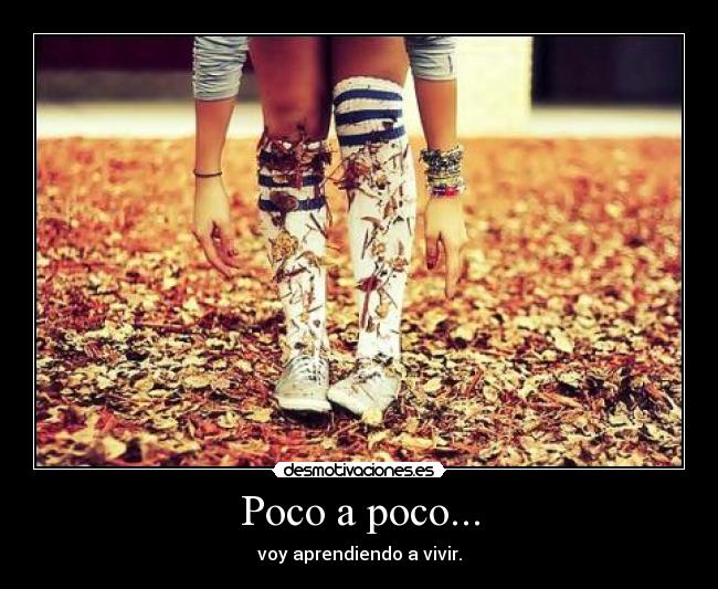 carteles seh acabaron los carteles fumatas por tiempo e_e desmotivaciones