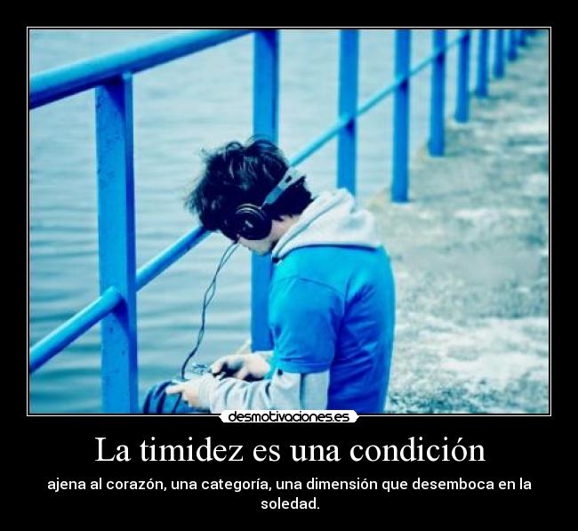 La timidez es una condición - ajena al corazón, una categoría, una dimensión que desemboca en la soledad.