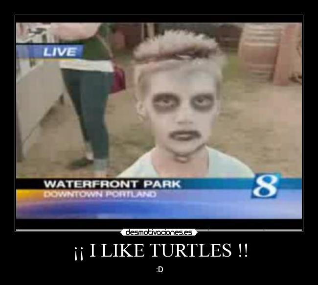 ¡¡ I LIKE TURTLES !! - 