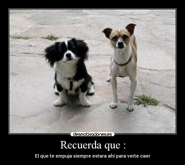 Recuerda que : - El que te empuja siempre estara ahí para verte caer