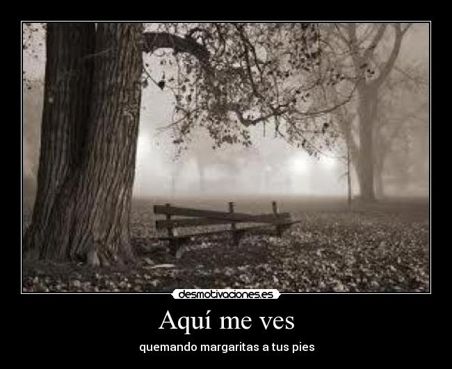 Aquí me ves -
