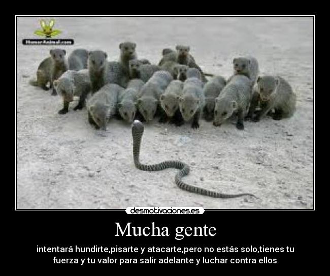 Mucha gente - 