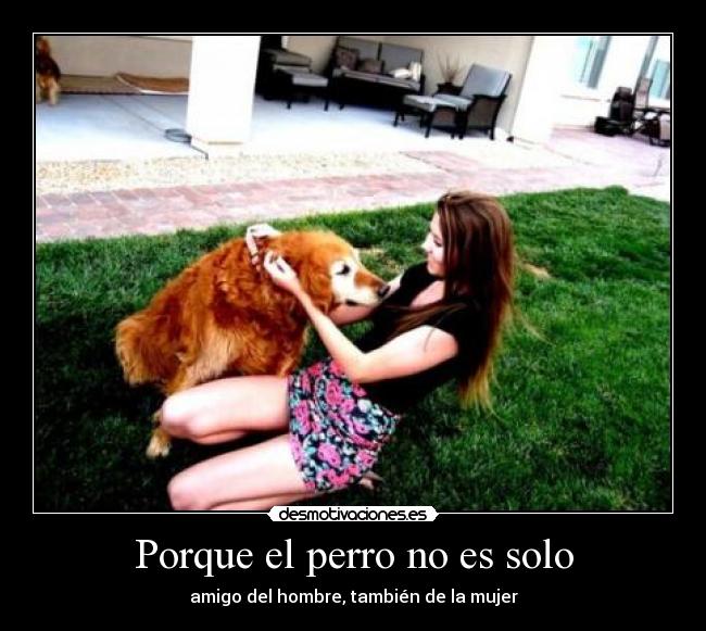 Porque el perro no es solo - amigo del hombre, también de la mujer