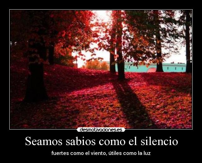 Seamos sabios como el silencio - 