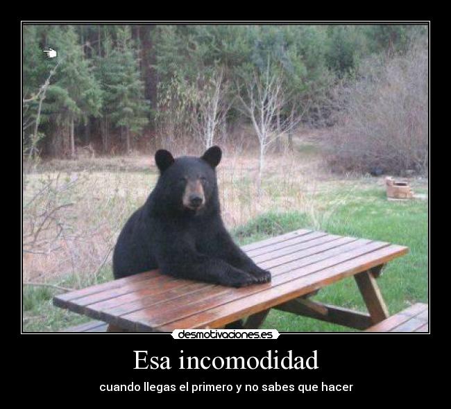 Esa incomodidad - 