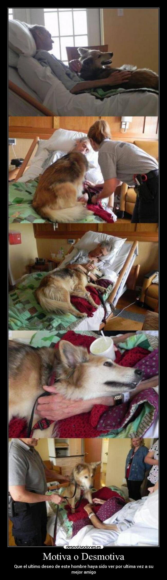 Motiva o Desmotiva -