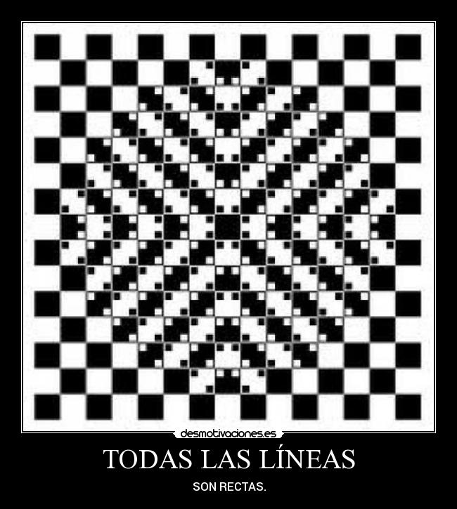 TODAS LAS LÍNEAS - SON RECTAS.