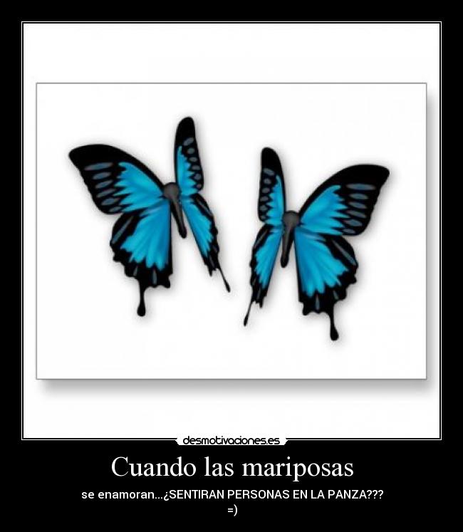 Cuando las mariposas - 