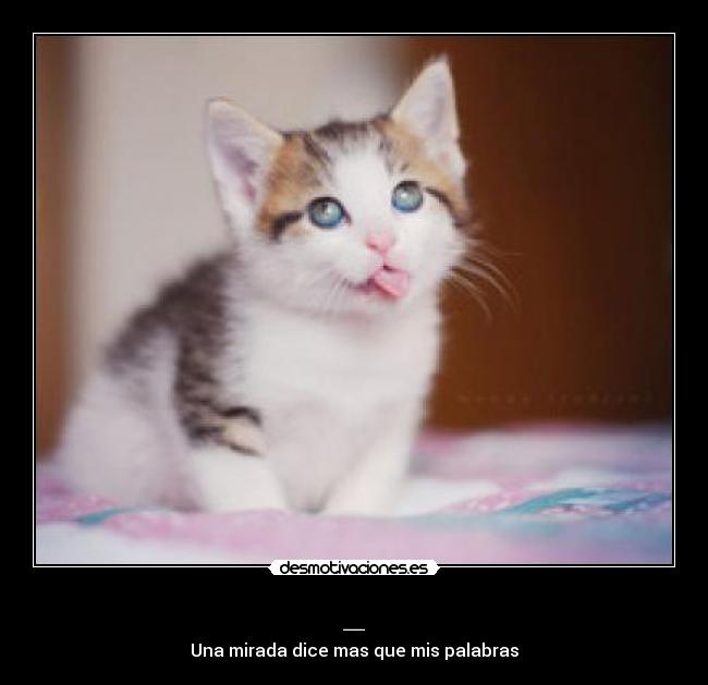 _ - Una mirada dice mas que mis palabras