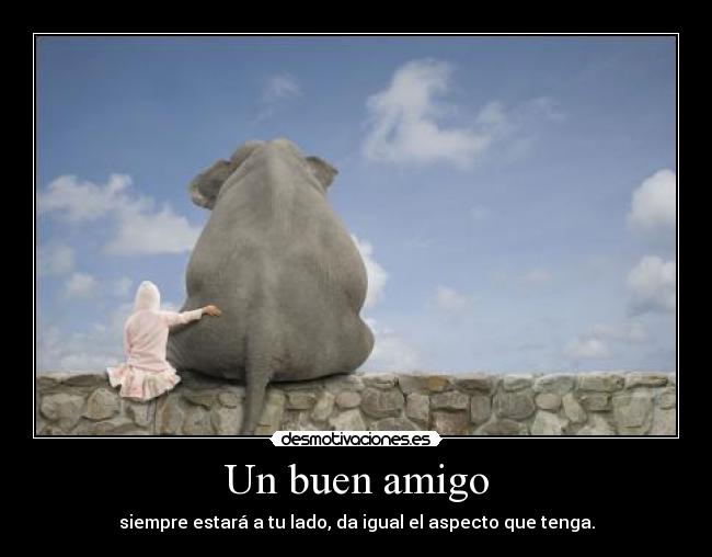 Un buen amigo - 