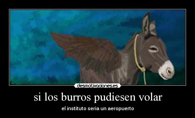 si los burros pudiesen volar - el instituto seria un aeropuerto