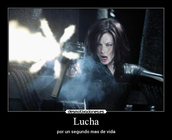 Lucha - 