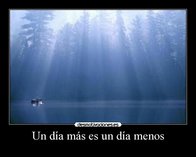 carteles gatitoylobita deivod gracias flowklorikos por esta frase desmotivaciones