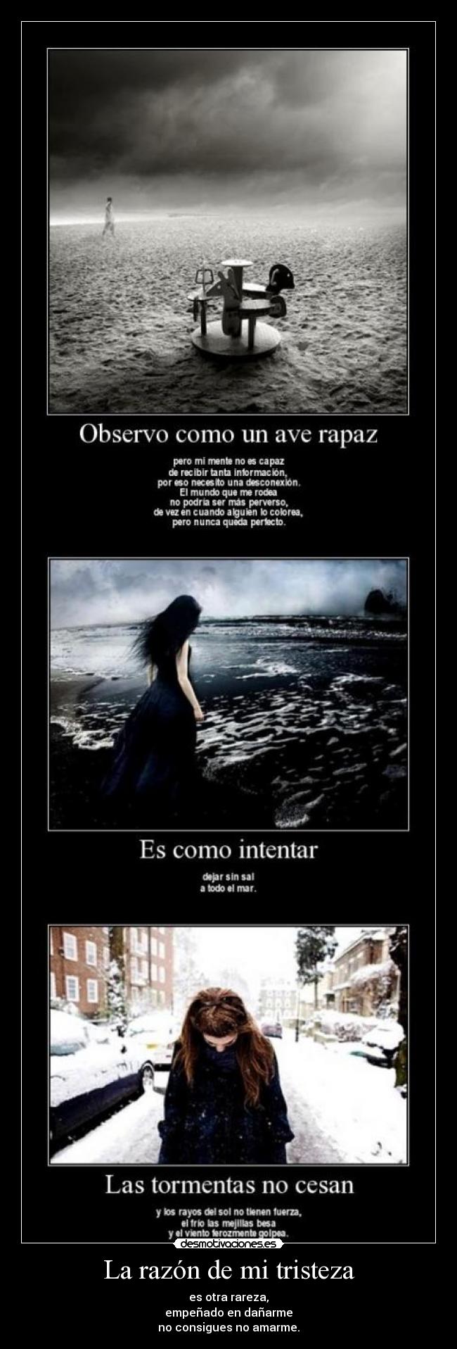 La razón de mi tristeza -