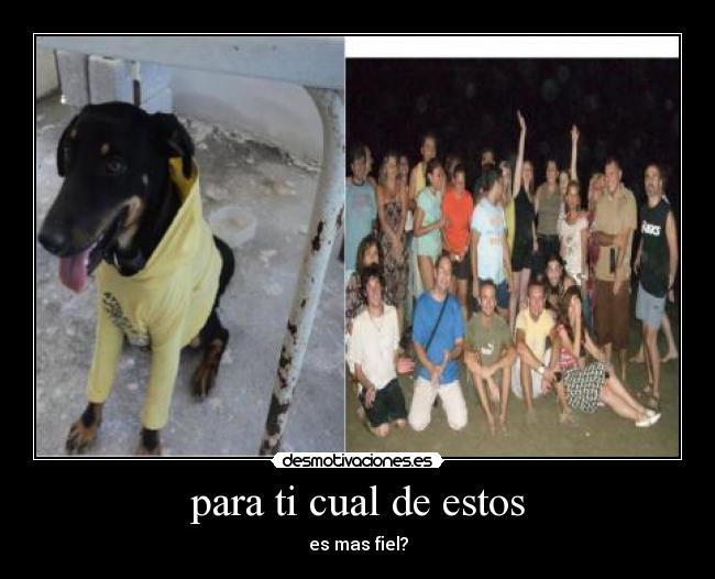 para ti cual de estos -