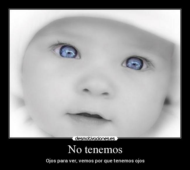 No tenemos - Ojos para ver, vemos por que tenemos ojos