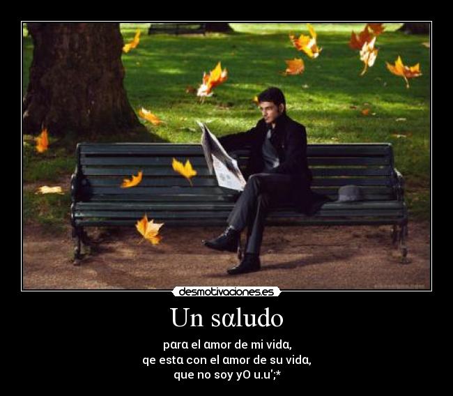 Un sαludo -