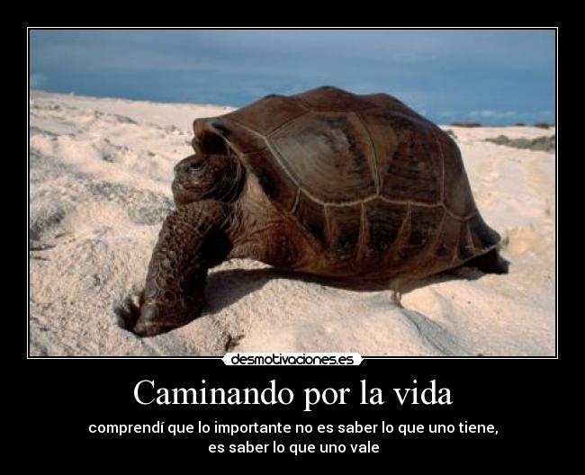 Caminando por la vida -